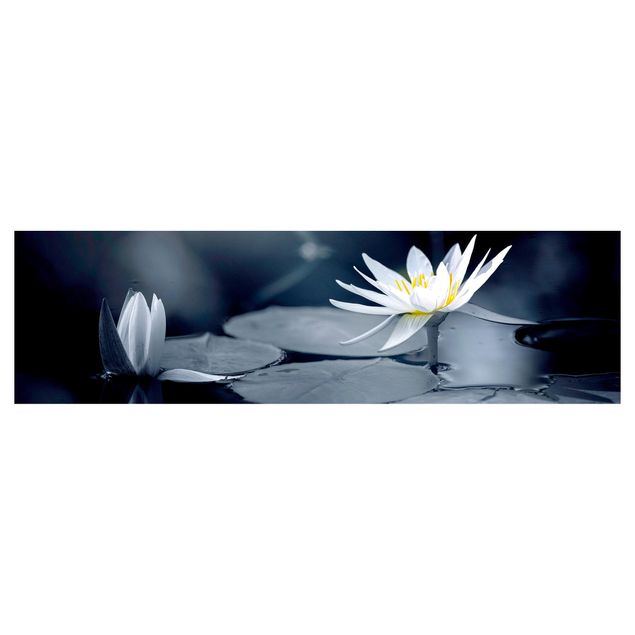 Selbstklebende Folie Lotus Spiegelung im Wasser