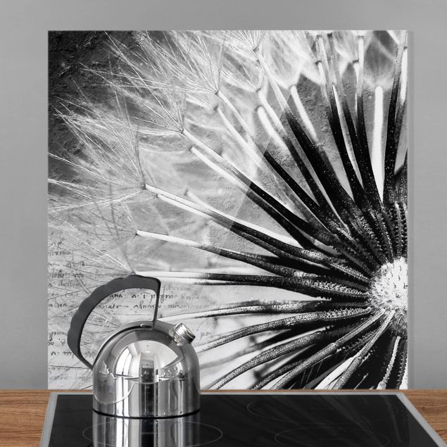 Spritzschutz Glas magnetisch Pusteblume Schwarz & Weiß