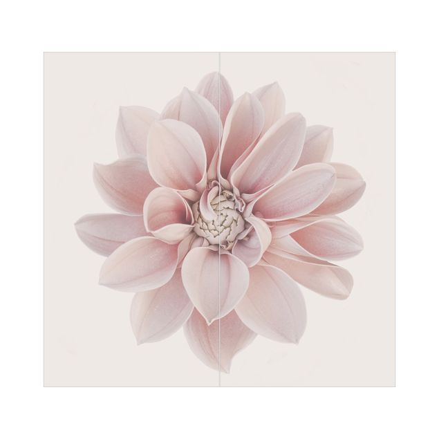 Duschrückwand - Dahlie Blume Pastell Weiß Rosa