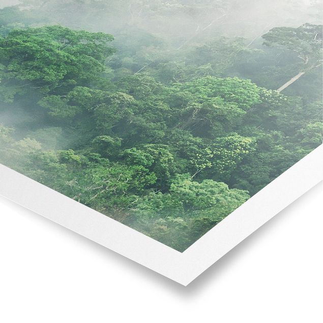 Poster bestellen Dschungel im Nebel
