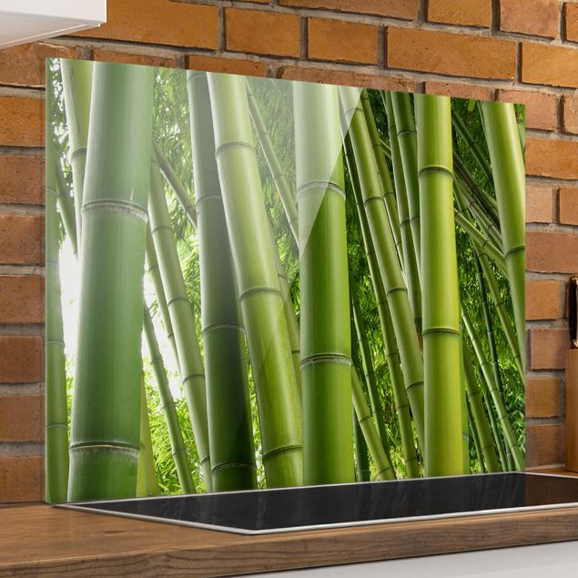 Spritzschutz Glas magnetisch Bamboo Trees