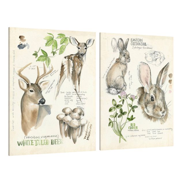 Wandbilder Blumen Wildnis Journal - Hirsch und Kaninchen Set II