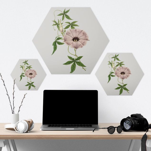 Hexagon Bild Forex - Florale Schmuckstücke IV