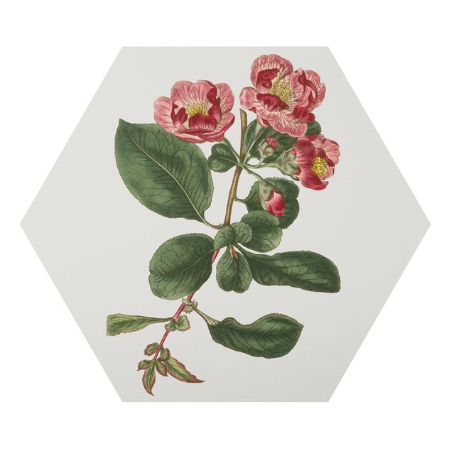 Hexagon Bild Forex - Florale Schmuckstücke I