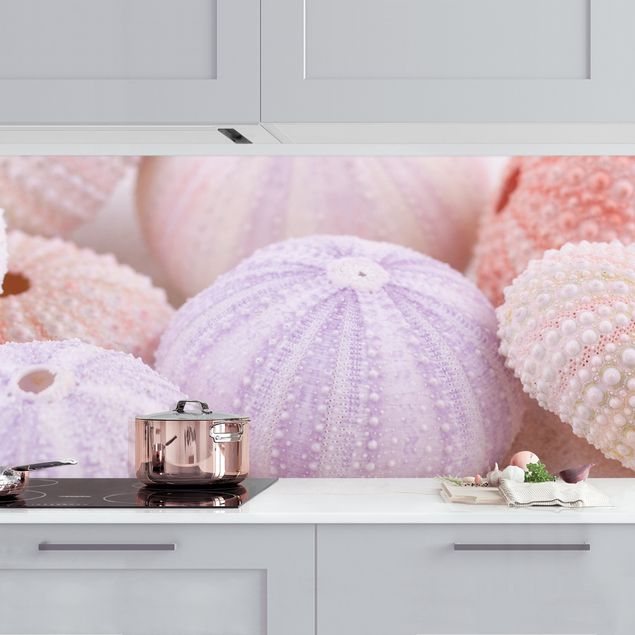 Küchenrückwände Platte Seeigel in Pastell