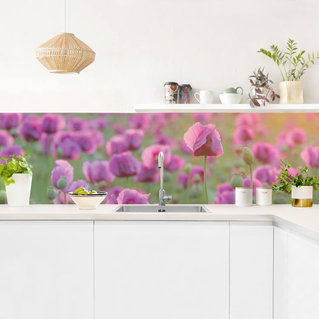 Küchenrückwand Gräser Violette Schlafmohn Blumenwiese im Frühling