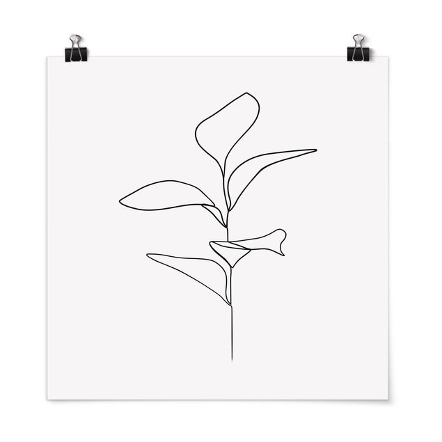 Poster - Line Art Pflanze Blätter Schwarz Weiß - Quadrat 1:1