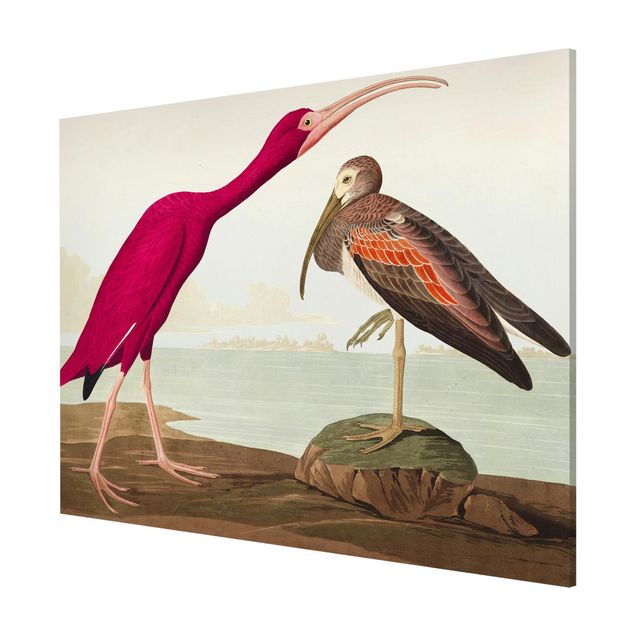 Magnettafel Strand Vintage Lehrtafel Roter Ibis