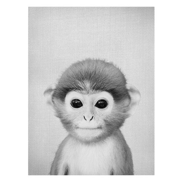 Tierbilder auf Leinwand Baby Affe Anton Schwarz Weiß