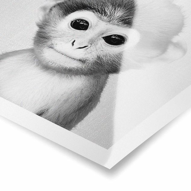Poster Baby Affe Anton Schwarz Weiß