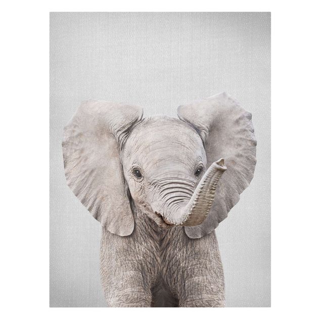 Leinwandbilder Tier Baby Elefant Elsa
