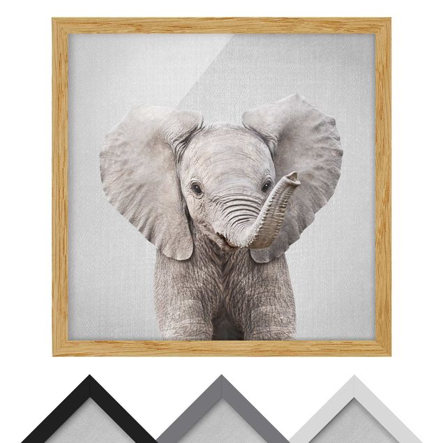 Bild mit Rahmen - Baby Elefant Elsa - Quadrat - 1:1