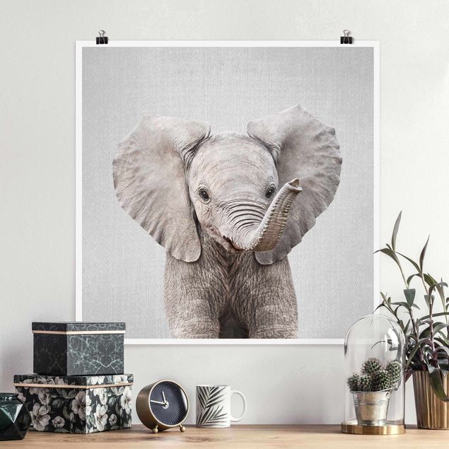 Wandbilder Tiere Baby Elefant Elsa