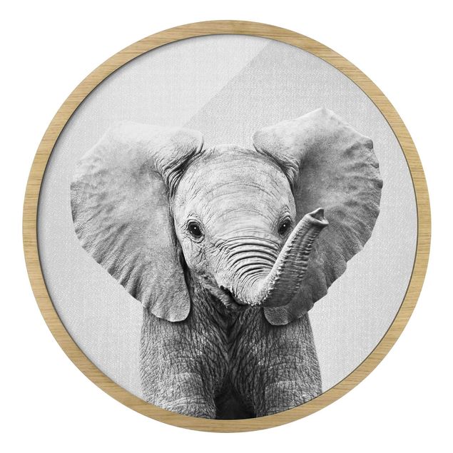 Bilder mit Rahmen Baby Elefant Elsa Schwarz Weiß