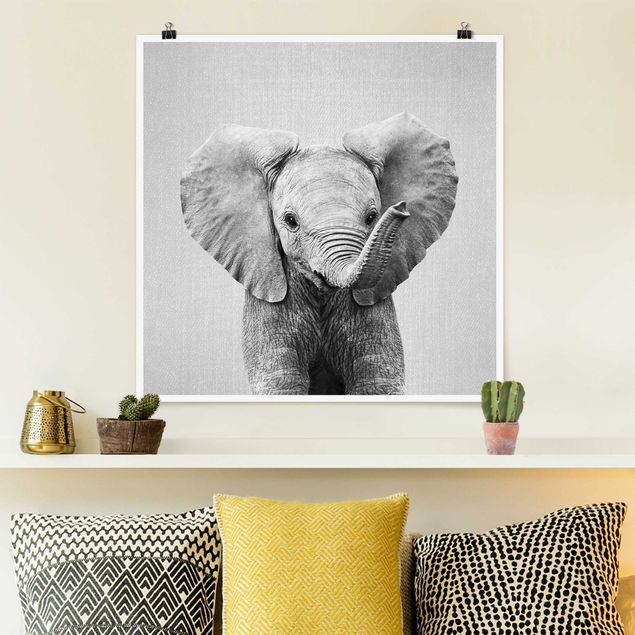 Wandbilder Tiere Baby Elefant Elsa Schwarz Weiß