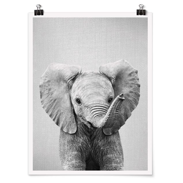 Tiere Poster Baby Elefant Elsa Schwarz Weiß