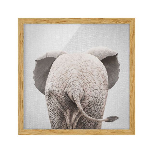 Bild mit Rahmen - Baby Elefant von hinten - Quadrat - 1:1