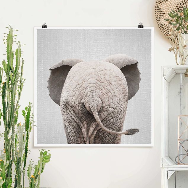Wandbilder Tiere Baby Elefant von hinten