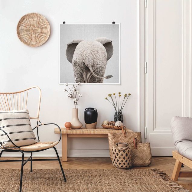 Poster Schwarz-Weiß Baby Elefant von hinten