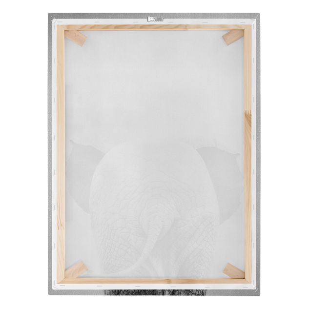 Wandbilder Baby Elefant von hinten Schwarz Weiß