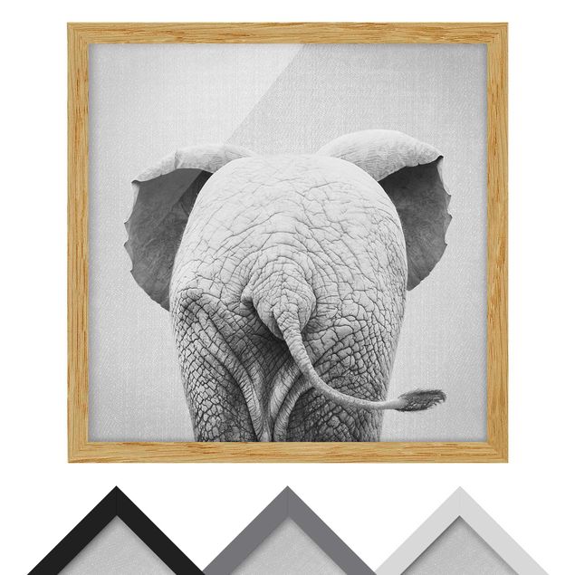Bild mit Rahmen - Baby Elefant von hinten Schwarz Weiß - Quadrat - 1:1