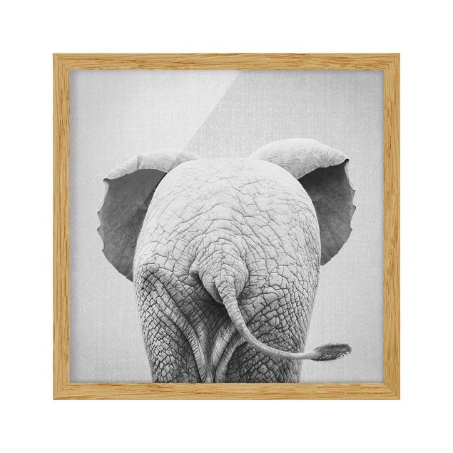 Bild mit Rahmen - Baby Elefant von hinten Schwarz Weiß - Quadrat - 1:1