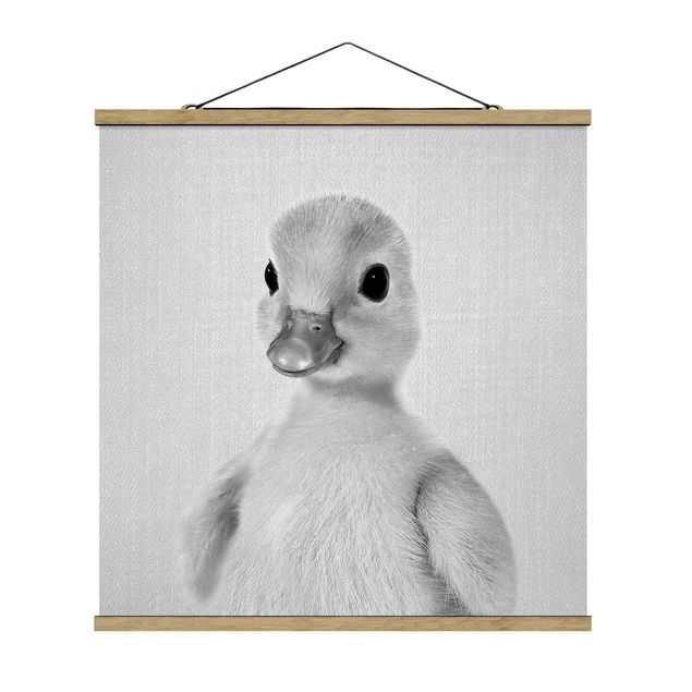 Poster Tiere Baby Ente Emma Schwarz Weiß