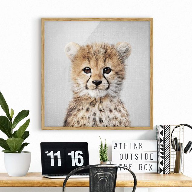 Wandbilder Tiere Baby Gepard Gino