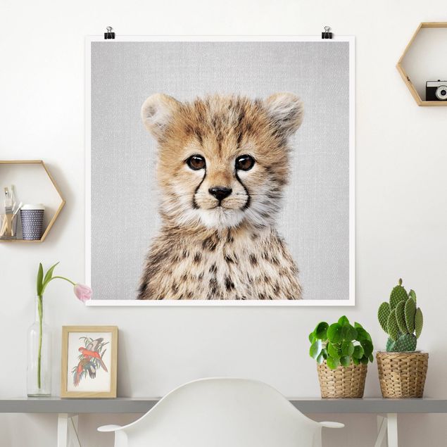 Wandbilder Tiere Baby Gepard Gino