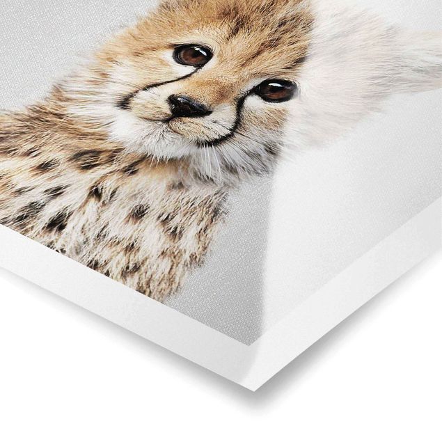 Poster bestellen Baby Gepard Gino