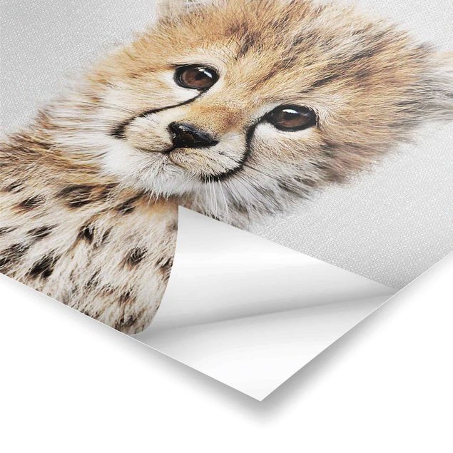 Poster - Baby Gepard Gino - Quadrat 1:1