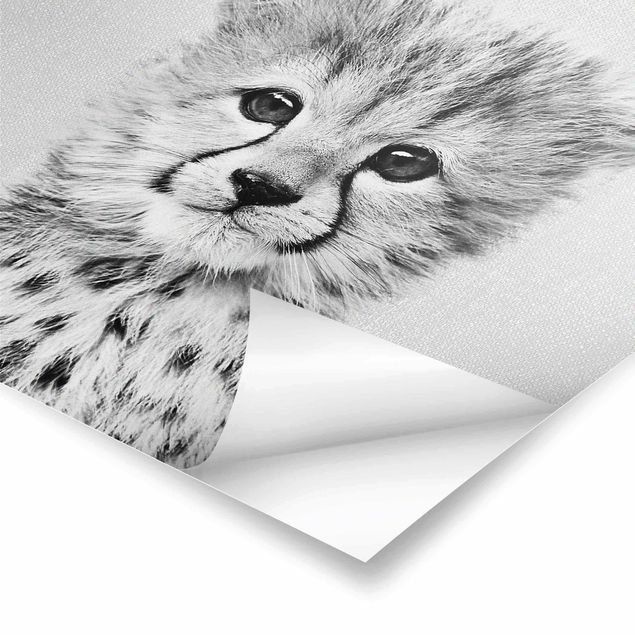 Poster - Baby Gepard Gino Schwarz Weiß - Quadrat 1:1