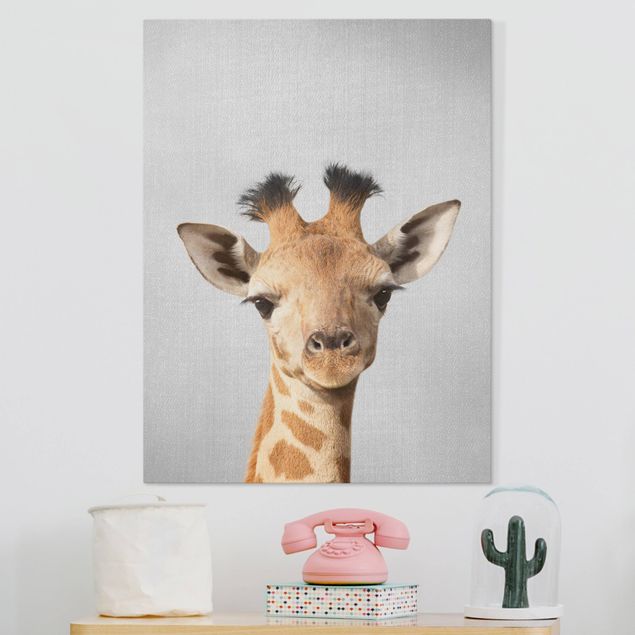 Wandbilder XXL Baby Giraffe Gandalf