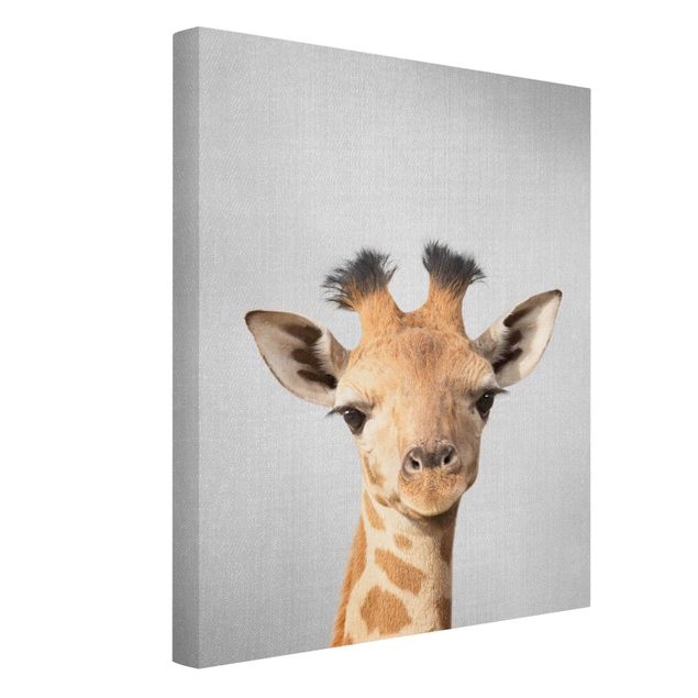 Leinwandbilder Schwarz-Weiß Baby Giraffe Gandalf