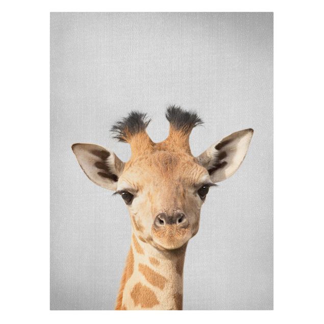 Wandbilder Tiere Baby Giraffe Gandalf