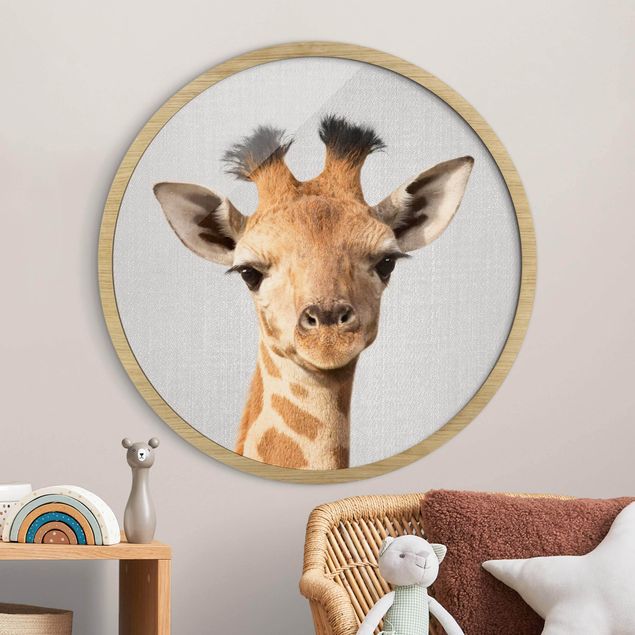 Bild rund Baby Giraffe Gandalf