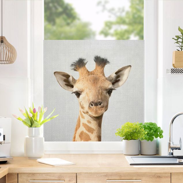 Fensterfolie Wohnzimmer Baby Giraffe Gandalf
