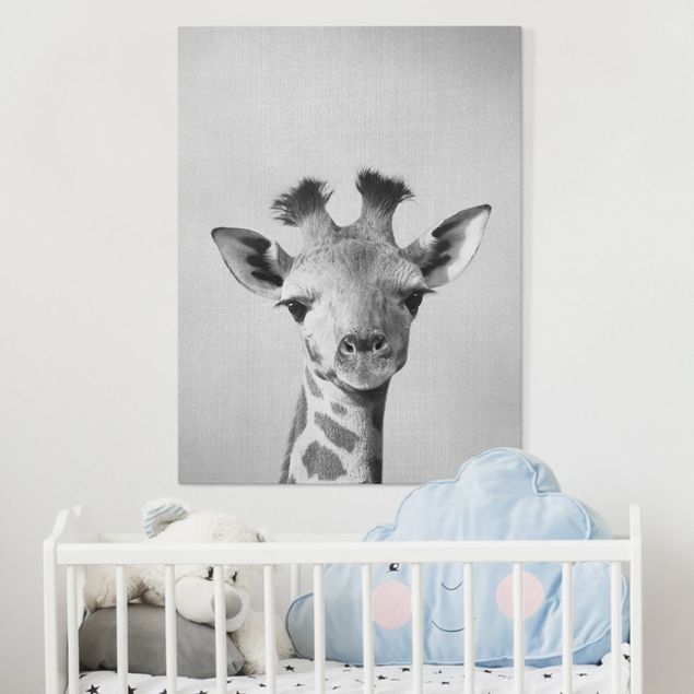 Leinwand Bilder XXL Baby Giraffe Gandalf Schwarz Weiß