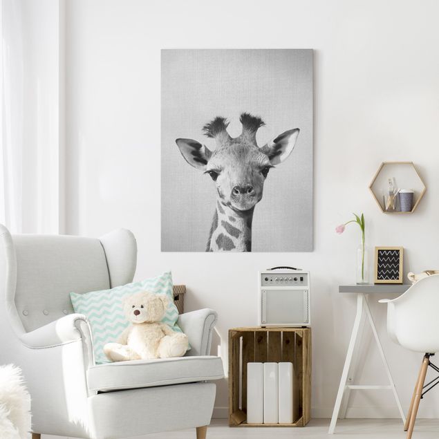Wandbilder Tiere Baby Giraffe Gandalf Schwarz Weiß