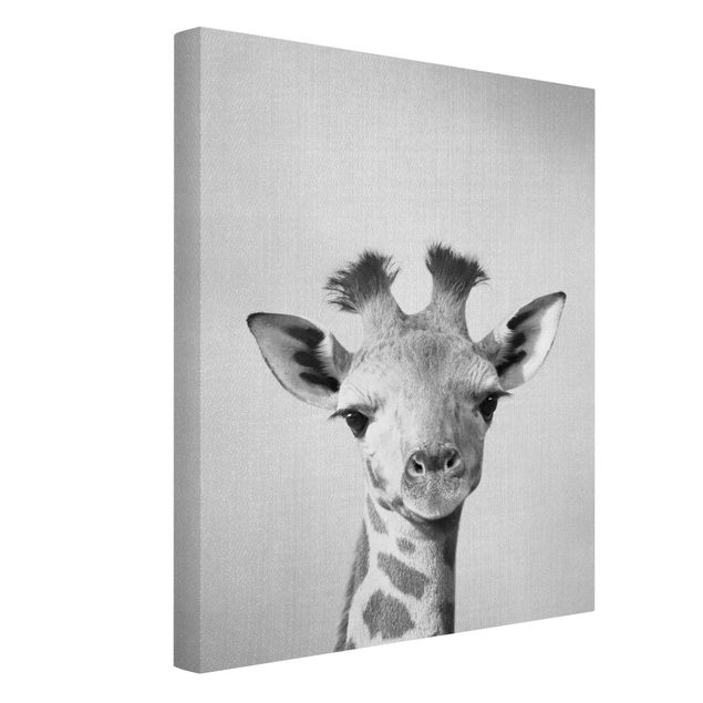 Leinwand Schwarz-Weiß Baby Giraffe Gandalf Schwarz Weiß