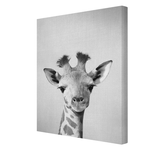 Moderne Leinwandbilder Wohnzimmer Baby Giraffe Gandalf Schwarz Weiß