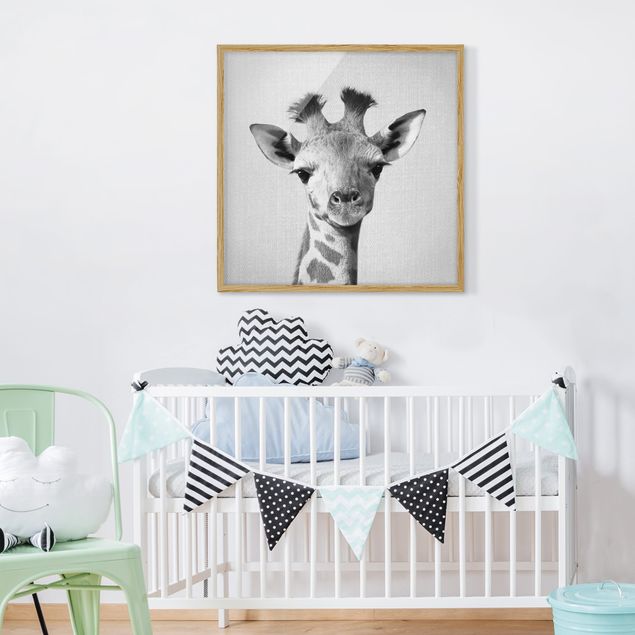 Bilder für die Wand Baby Giraffe Gandalf Schwarz Weiß