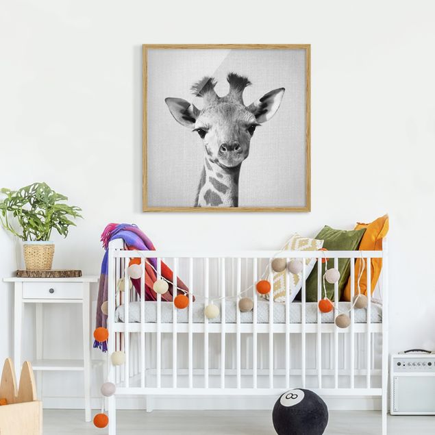 Wandbilder mit Rahmen Baby Giraffe Gandalf Schwarz Weiß