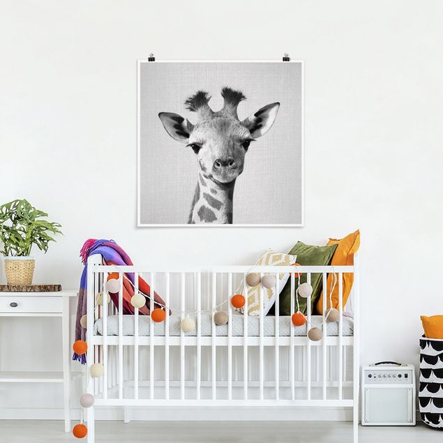 Poster Kinderzimmer Tiere Baby Giraffe Gandalf Schwarz Weiß