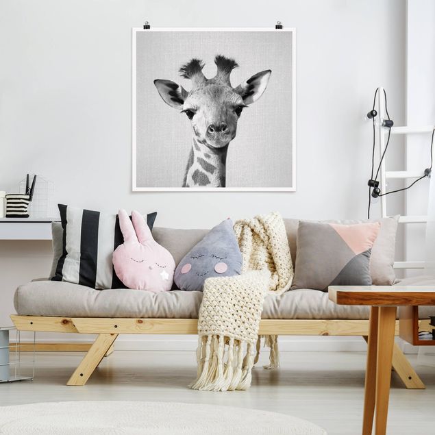 Schwarz-Weiß Poster Baby Giraffe Gandalf Schwarz Weiß