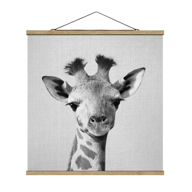 Tiere Poster Baby Giraffe Gandalf Schwarz Weiß