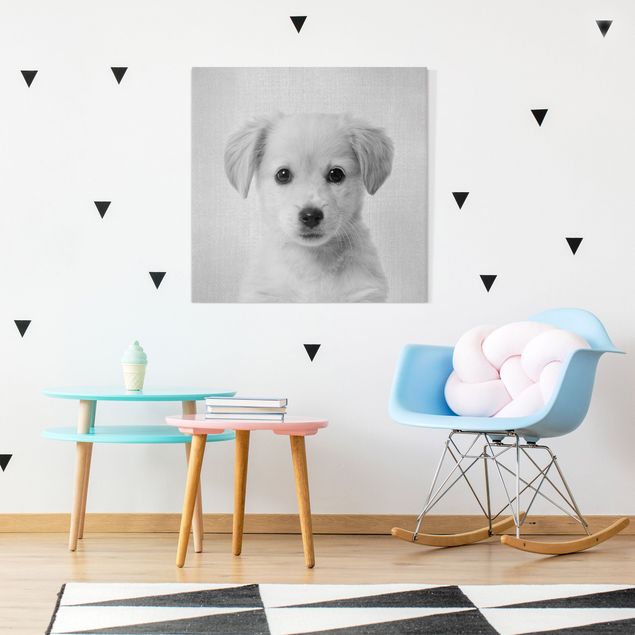 Wandbilder Hund Baby Golden Retriever Gizmo Schwarz Weiß