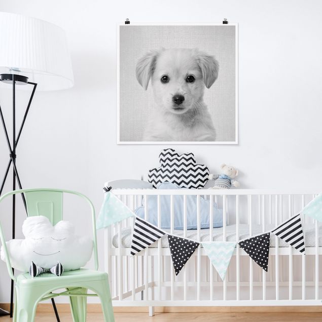 Poster Kinderzimmer Tiere Baby Golden Retriever Gizmo Schwarz Weiß