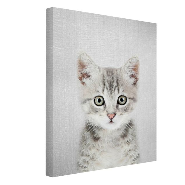 Wandbilder Schwarz-Weiß Baby Katze Killi