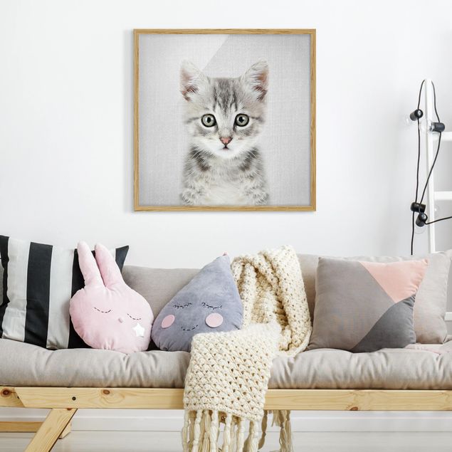 Bilder für die Wand Baby Katze Killi